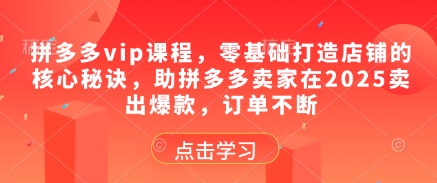 拼多多vip课程,零基础打造店铺的核心秘诀,助拼多多卖家在2025卖出爆款,订单不断-网赚客广场